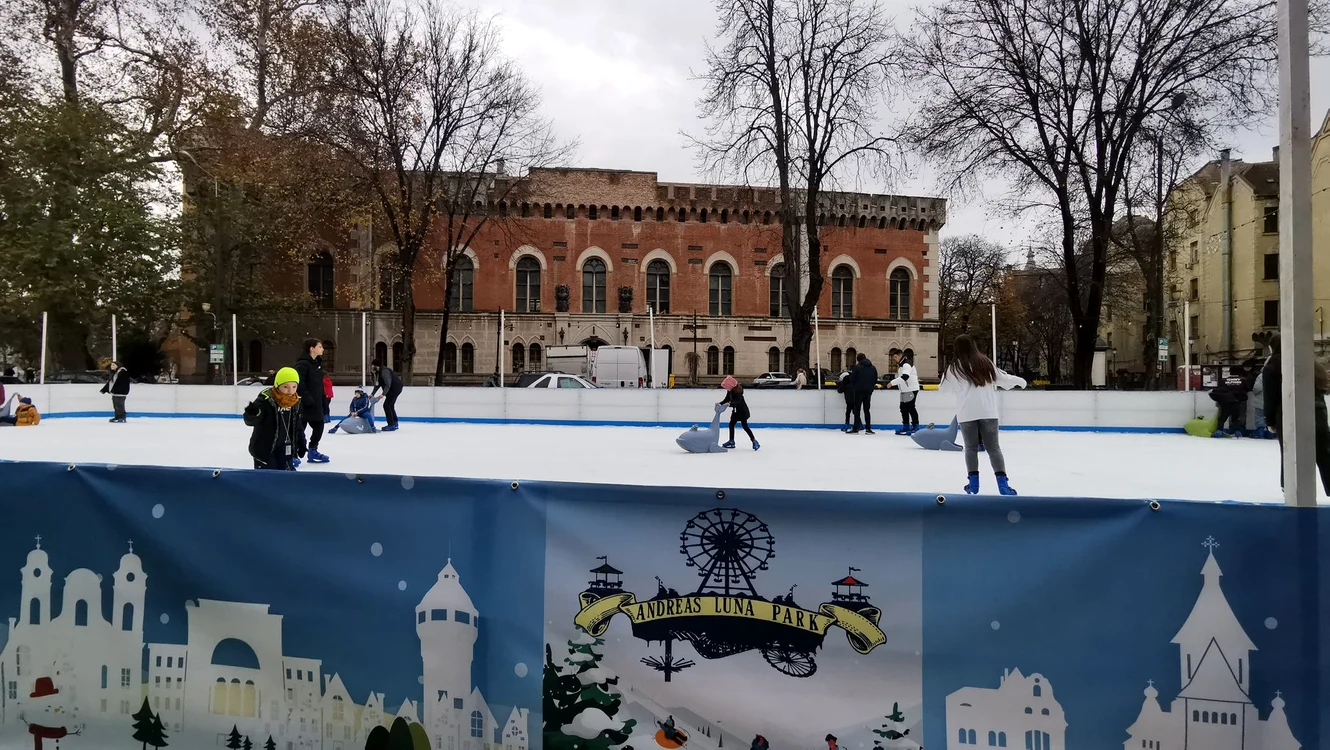 Castelul Huniade în această iarnă FOTO Ștefan Both