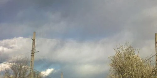 Târgovişte: A murit după ce o drujbă i-a tăiat artera femurală