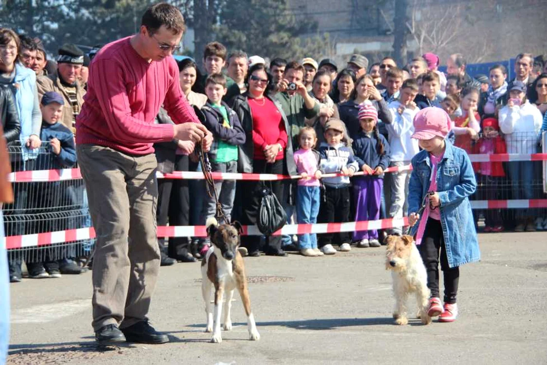 Fiecare cu câinele lui
