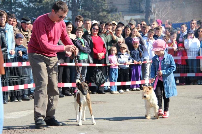 Fiecare cu câinele lui