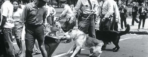 Cele mai influente fotografii ale tuturor timpurilor - Imaginea iconică a brutalităţii segregării americane în 1963 - Foto Chales Moore