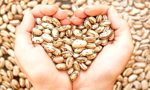 1 77793 original jpg jpeg