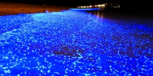 b9bf97428a6671e096872e0f96f334e0 jpg jpeg