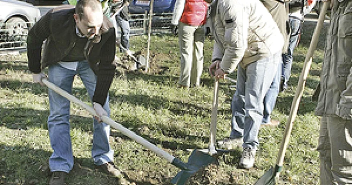 Timişorenii sunt invitaţi să se alăture campaniei de plantare