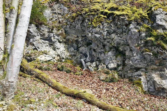 
    Trupurile goale se îmbină perfect cu mediul înconjurătorFoto: Wenn  