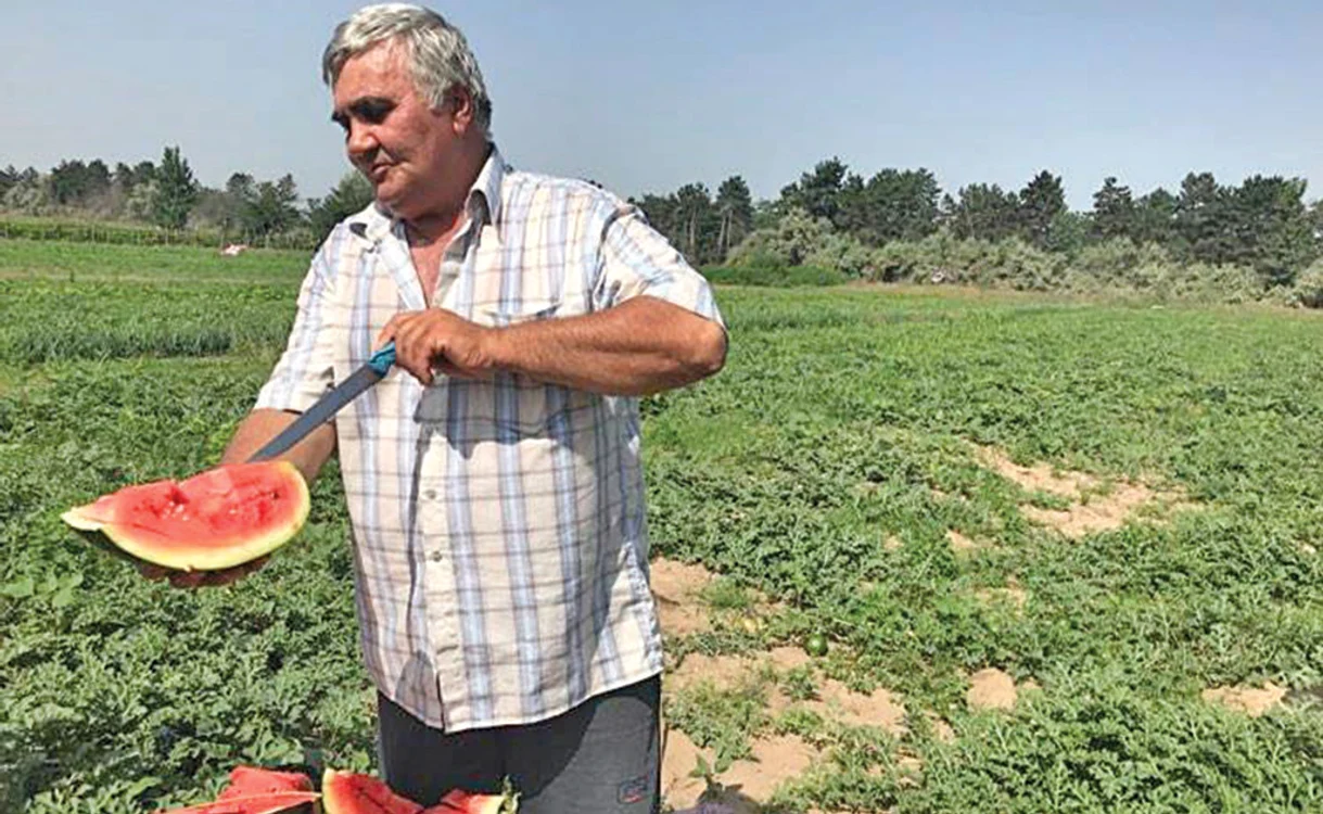 
    Viorel Muşat, producător Dăbuleni  