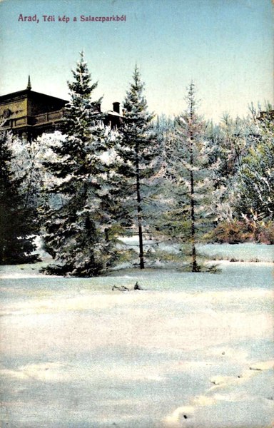 Imagini de epocă. Carte poștală din anii 1800, ce arată splendoarea unui parc pe timp de iarnă  