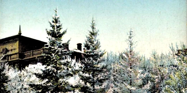 carte postala Arad jpg