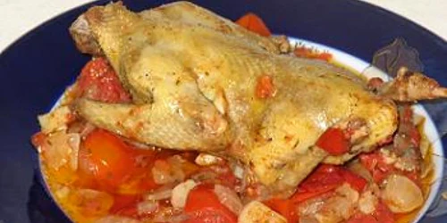 ostropel de porumbel