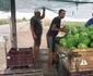 A început sezonul lubeniţei de Gottlob FOTO Ştefan Both