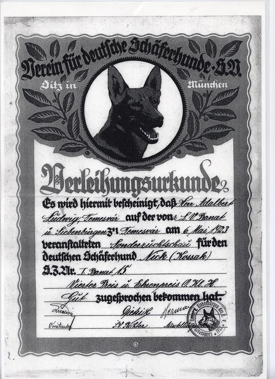 Diploma câștigătorului concursului de frumusețe canină din 1923 FOTO Asociația Chinologică Timiș