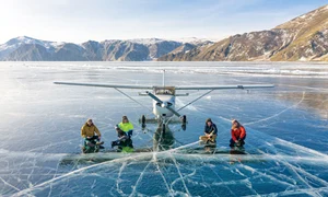 24 foto 5 2 col profimedia 0501362386 jpeg