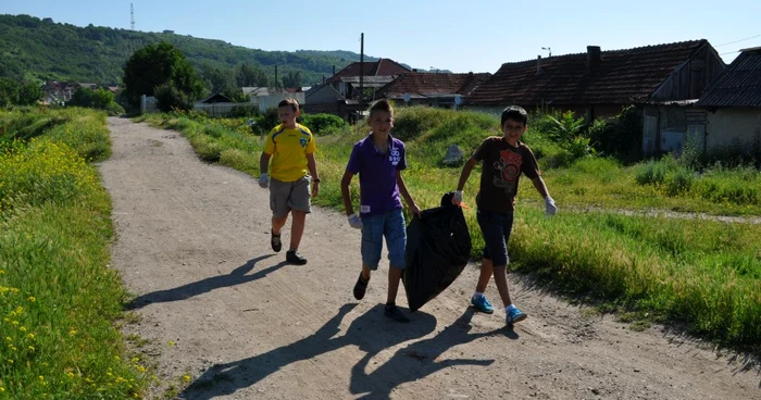 Voluntariatul va fi recunoscut ca experienţă profesională