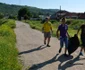 Voluntari
