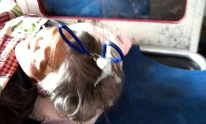 CLIIMA20140507 0078 1 jpeg