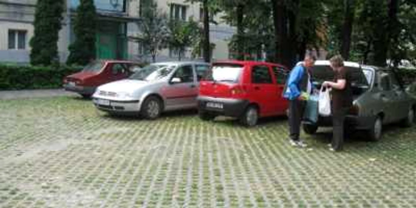 Parcări ecologice în municipiul Bacău