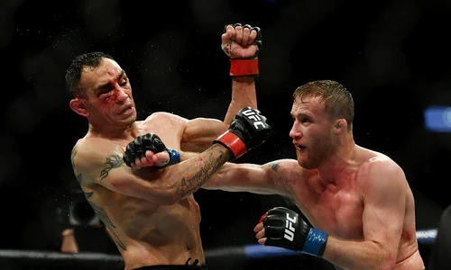 ufc 3 jpeg