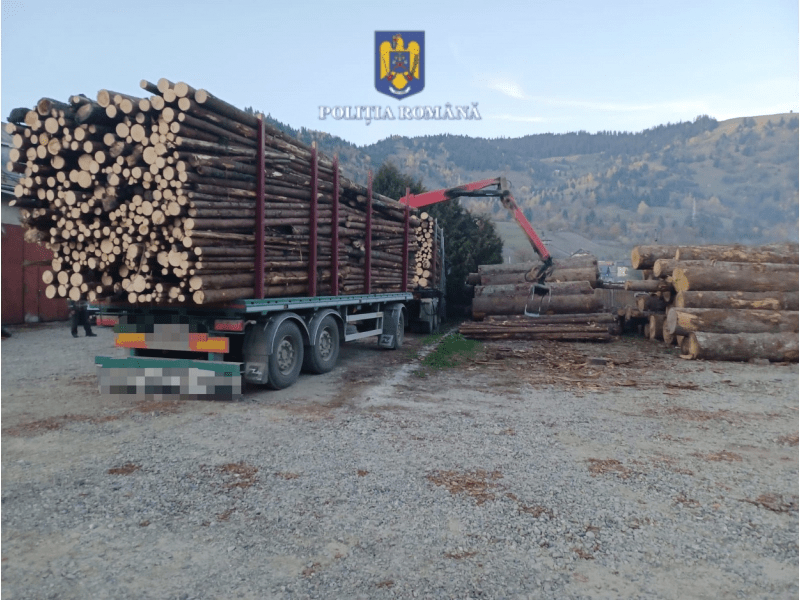 TIR în valoare de zeci de mii de euro, confiscat în Neamţ. Valoarea mărfii transportate era infimă