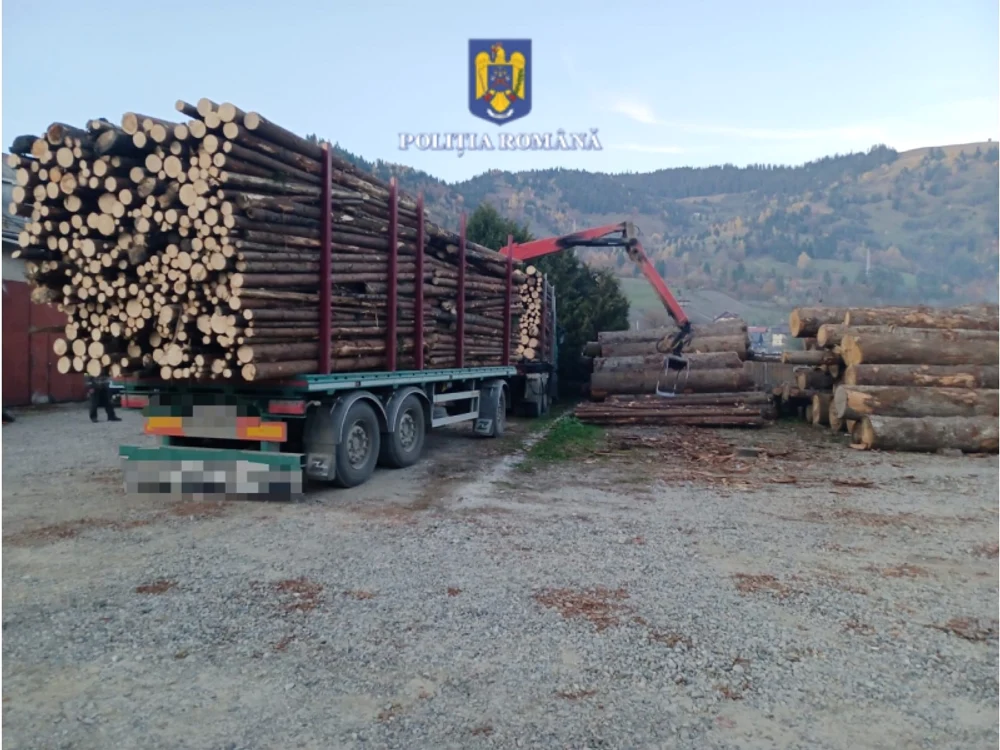 Camionul de mare tonaj a fost indisponibilizat FOTO Poliția Neamț