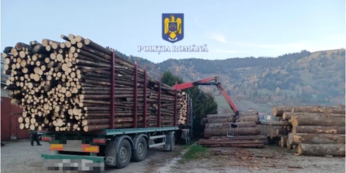 lemncamionu sursapolitia jpeg