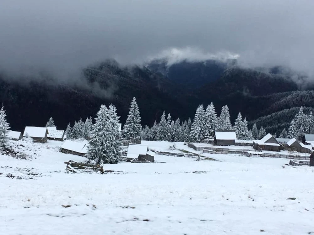 Poiana Călineasa, refugiul moţilor în Apuseni. Foto: comuna Gârda de Sus