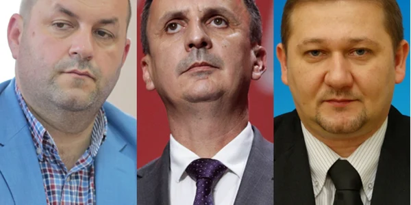 Colaj articol Dorel Căprar (S)