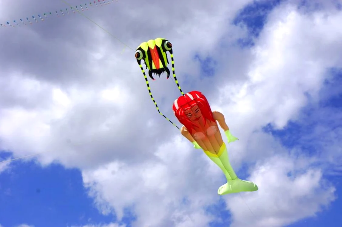 Festivalul Internaţional de Zmeie din Timişoara