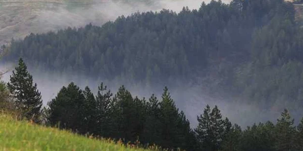 aaa