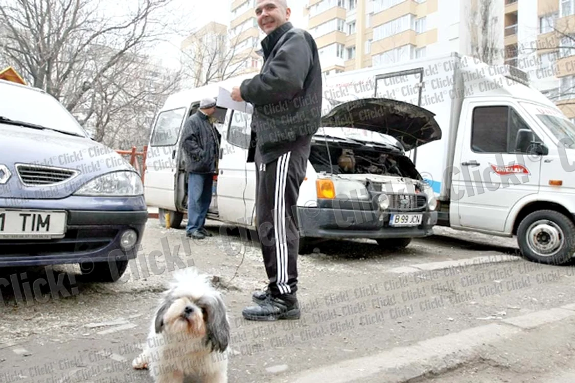 Bobiţă şi Codiţă au fost  scoşi ca să-şi facă  nevoile. Stăpânele lor  au fost oprite de  poliţişti pentru că nu  aveau mătură şi făraş (Fotografii: Dorin Constanda )