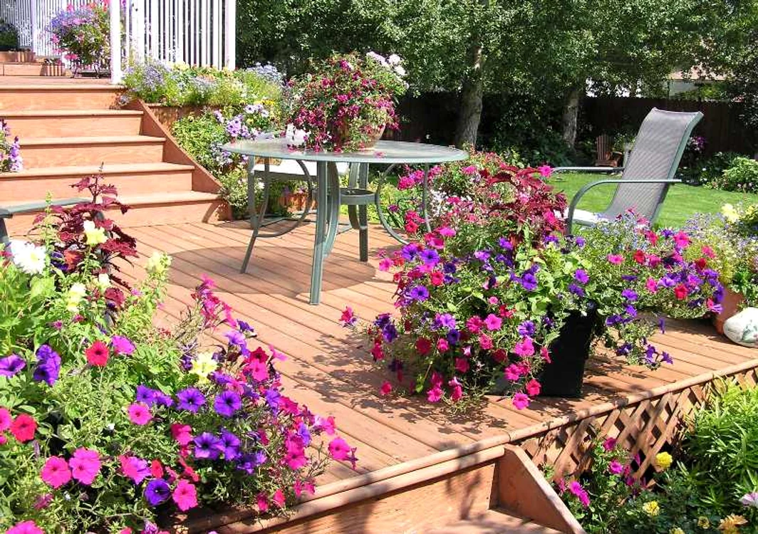 Florile în nuanţe violet sunt relaxante. Să nu mai vorbim de miros...