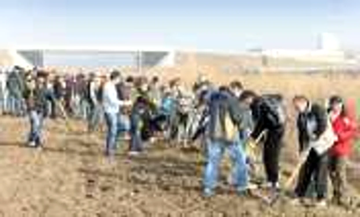 Angajații Renault au plantat 800 de copaci la Centrul Tehnic de la Titu