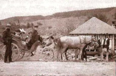 Nicolae Iorga la Vălenii de Munte (© Muzeul Memorial „Nicolae Iorgaˮ din Vălenii de Munte)