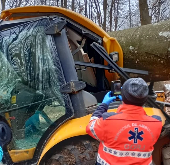 Buldoexcavatorul a fost strivit de copac Foto: ISU Gorj