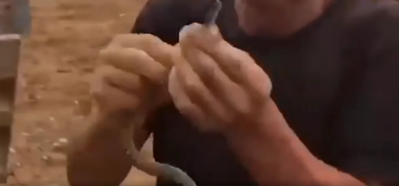 Autorii videoclipului susţin că bărbatul a demonstrat în repetate rânduri un „truc cu înghiţirea unui şarpe”, fără să păţească ceva Foto: Captură video