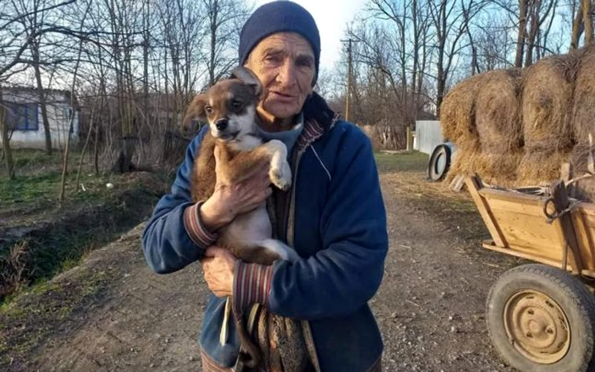 
    Foto: adevarul.ro  