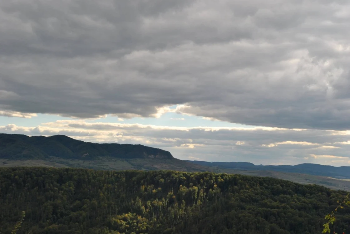 Imaginile sălbatice din satul maramureşean