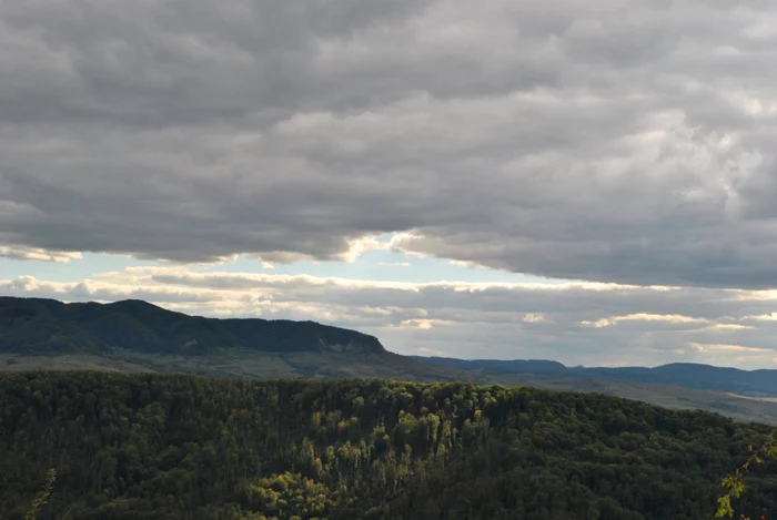 Imaginile sălbatice din satul maramureşean