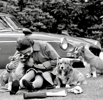 regina cu cainii ei jpg