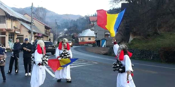 brondosi cavnic. foto arhiva personala
