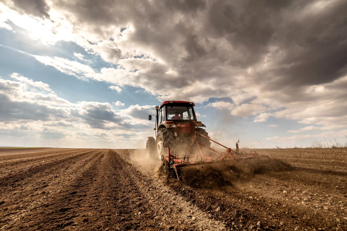 Un tractor ară pământul ars de secetă
