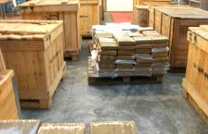 DIICOT a capturat în 2007 cea mai mare cantitate de marijuana din ultimii 20 de ani