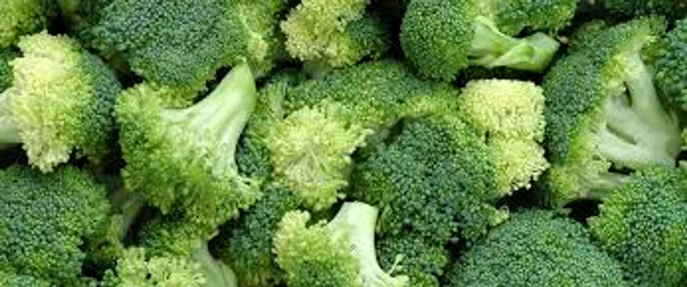 
    Broccoli ne menține în formăingradina.com  