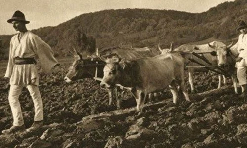   Blestemul ideologic al pământului  jpeg