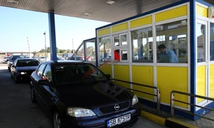 taxa pod jpeg