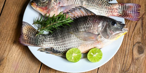 peste tilapia shutterstock 2211974043 jpg