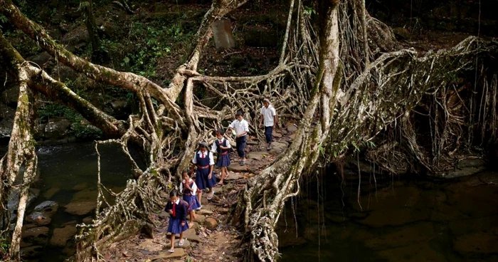 Mawsynram India - cea mai umedă aşezare umană de pe glob Foto theatlantic com