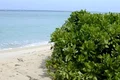 stramtoarea bering insulele diomede jpg