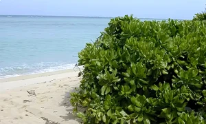 stramtoarea bering insulele diomede jpg