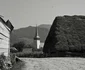 Muntii Apuseni Foto Viorel Simionescu (5) jpg