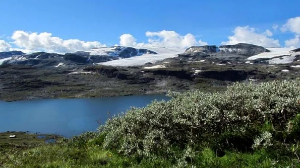 Groenlanda, un tărâm în alb şi verde jpeg